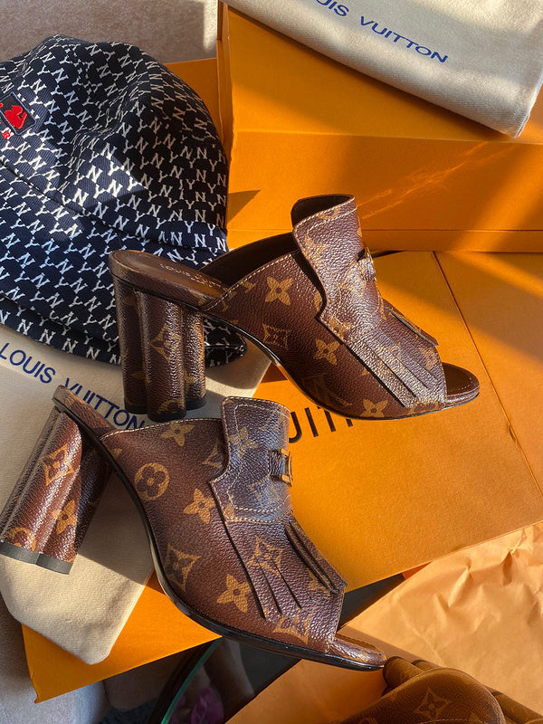 Louis Vuitton luxury shoes full view — premium authentic designer style