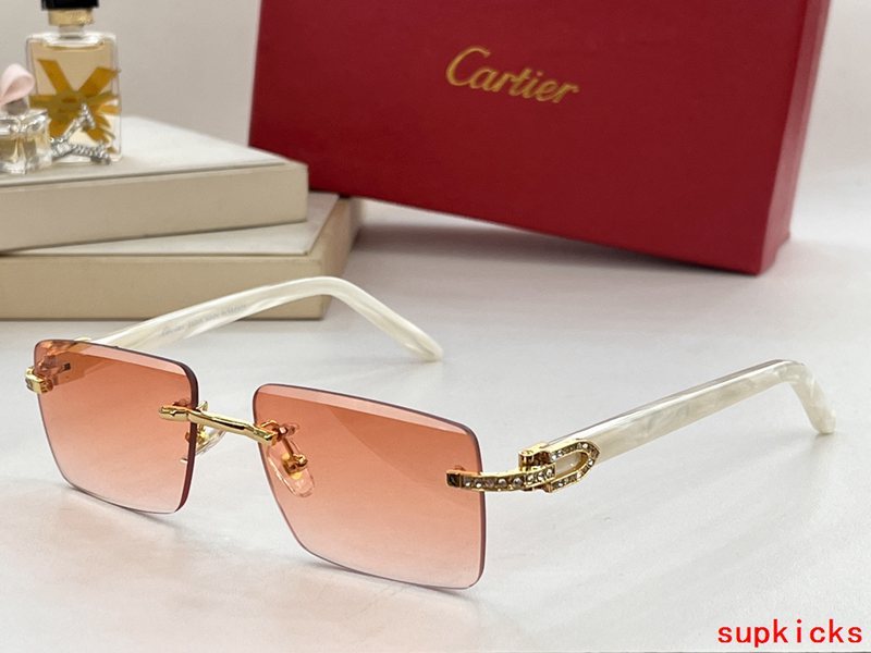 Lifestyle view of Cartier unisex sunglasses