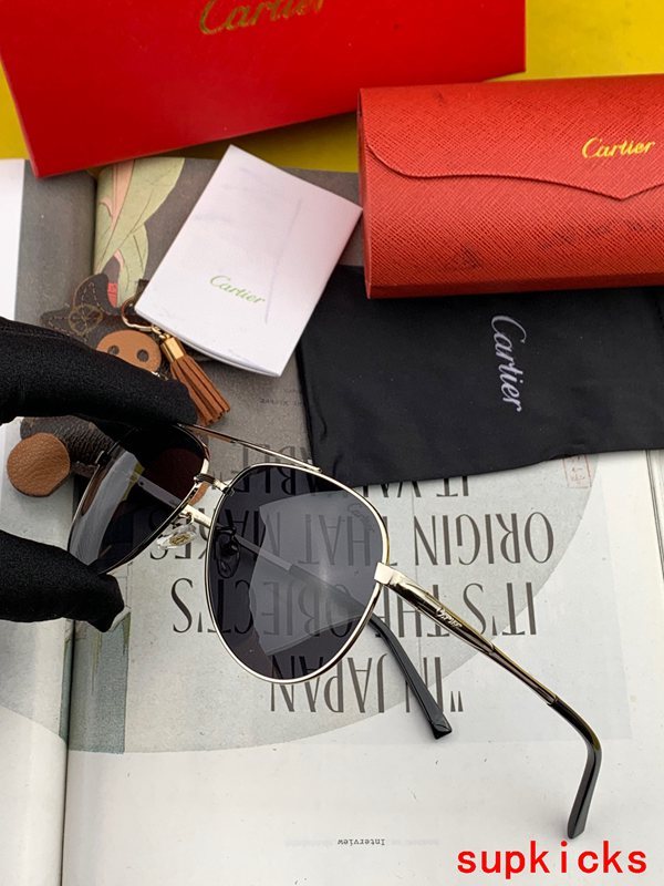 Close-up detail view of Cartier unisex sunglasses
