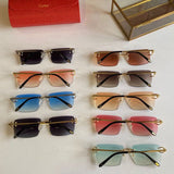 Front view of Cartier unisex sunglasses