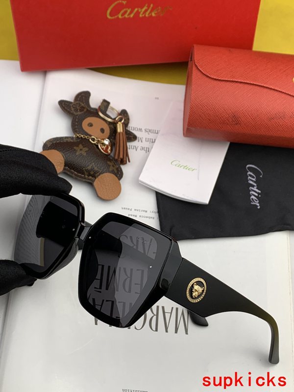 Side view of Cartier unisex sunglasses