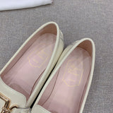 Roger Vivier luxury shoes full view — premium authentic designer style