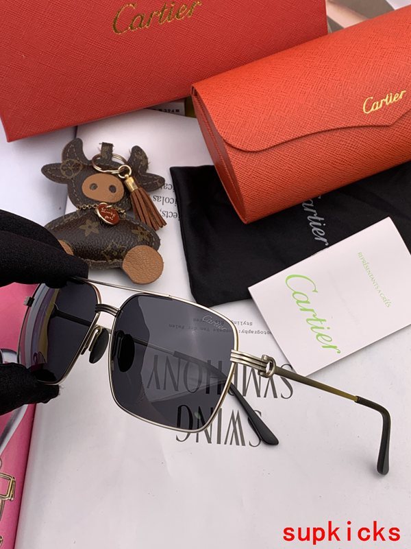 Close-up detail view of Cartier unisex sunglasses