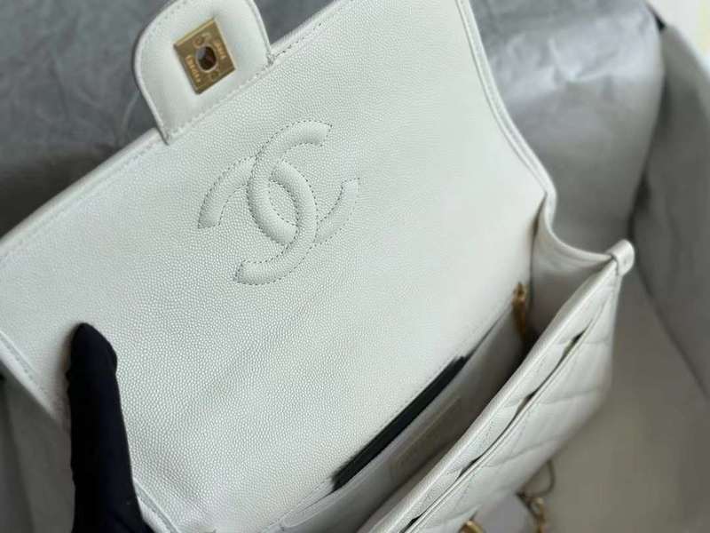 Zivas Charm Versatile Design Everyday Handbag (Modern Wardrobe Staple) – Detail View