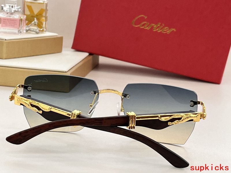 Close-up detail view of Cartier unisex sunglasses