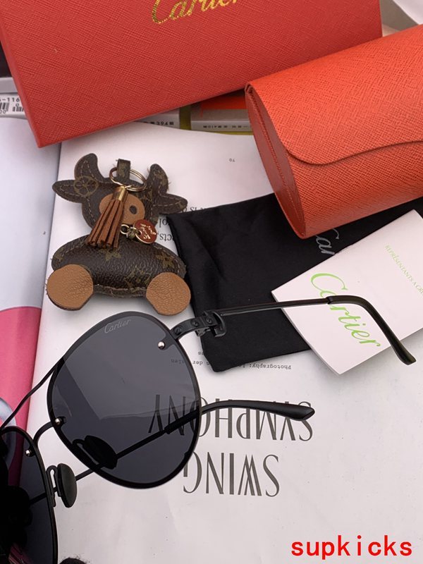 Full view of Cartier unisex sunglasses