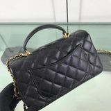 Zivas Charm Classic Sensibility Fashion Handbag (Signature Shape & Finish) – Detail View