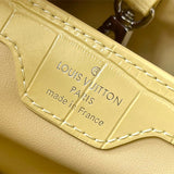  everyday bag interior and compartment view 45