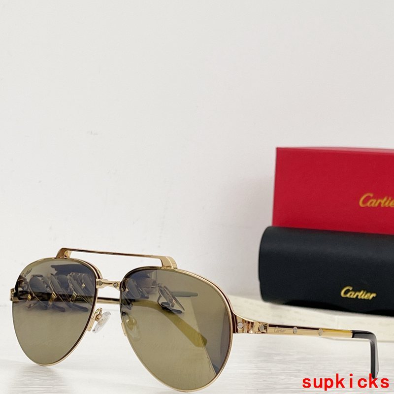 Close-up detail view of Cartier unisex sunglasses