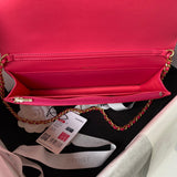 Ziva's Charm handbag – carry view (one versatile size)