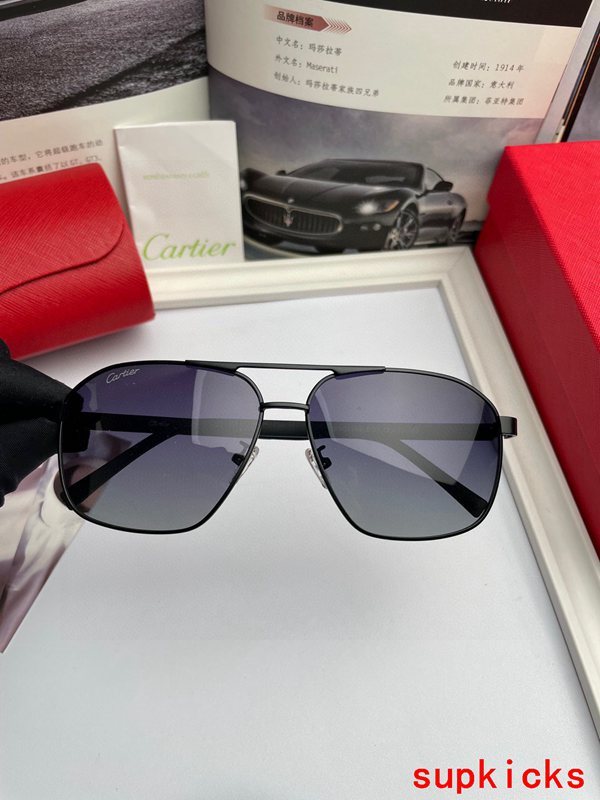 Side view of Cartier unisex sunglasses
