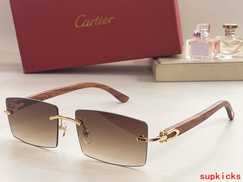 Side view of Cartier unisex sunglasses