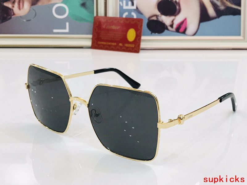 Front view of Cartier unisex sunglasses