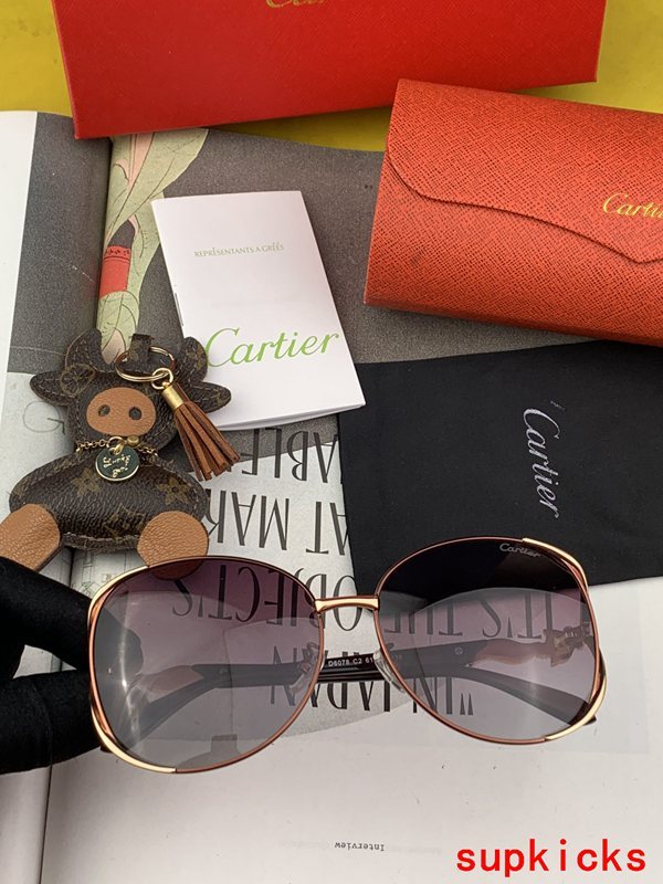 Lifestyle view of Cartier unisex sunglasses