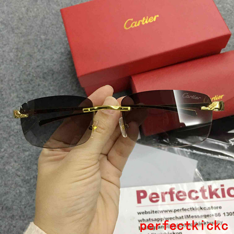 Close-up detail view of Cartier unisex sunglasses