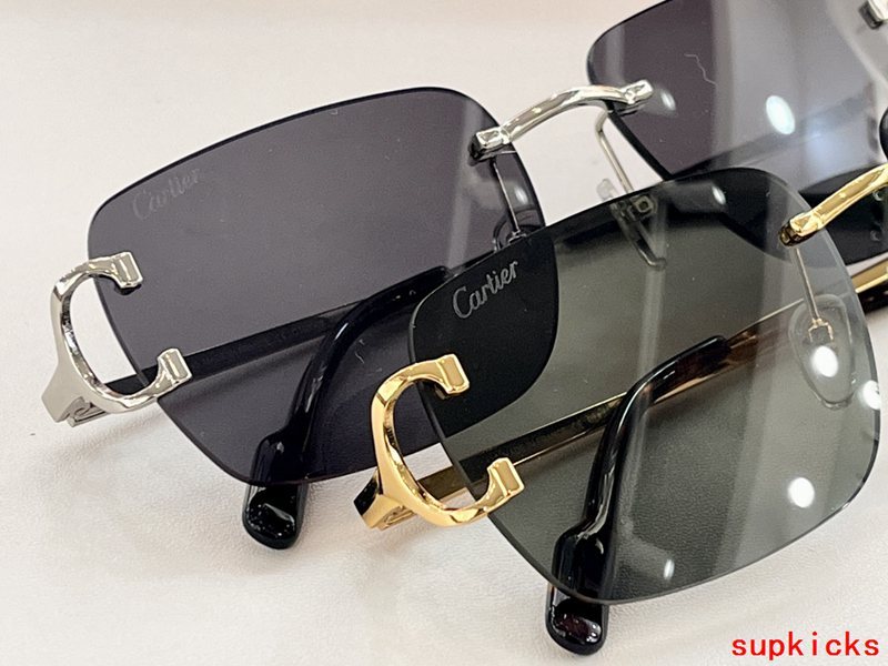 Front view of Cartier unisex sunglasses