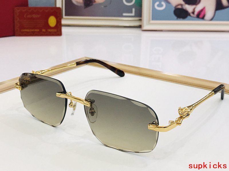 Close-up detail view of Cartier unisex sunglasses