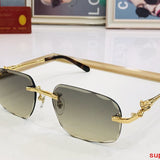 Close-up detail view of Cartier unisex sunglasses