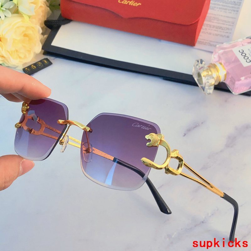 Close-up detail view of Cartier unisex sunglasses