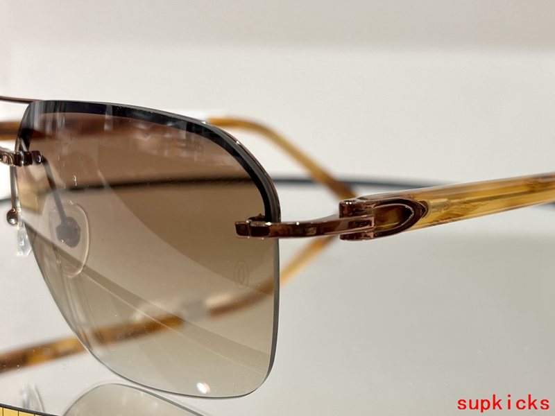 Front view of Cartier unisex sunglasses