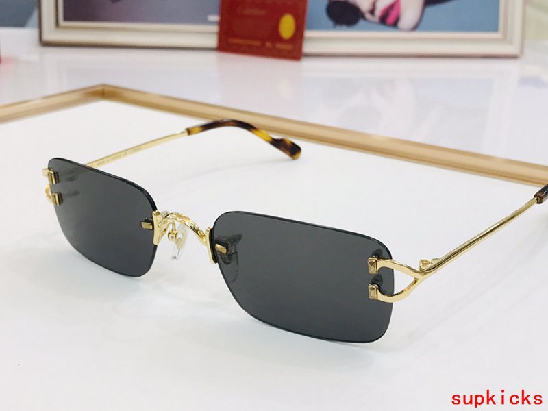 Full view of Cartier unisex sunglasses