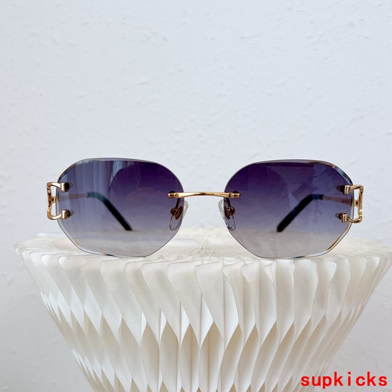 Front view of Cartier unisex sunglasses