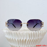 Front view of Cartier unisex sunglasses