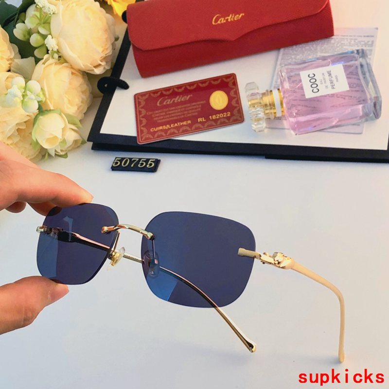 Close-up detail view of Cartier unisex sunglasses