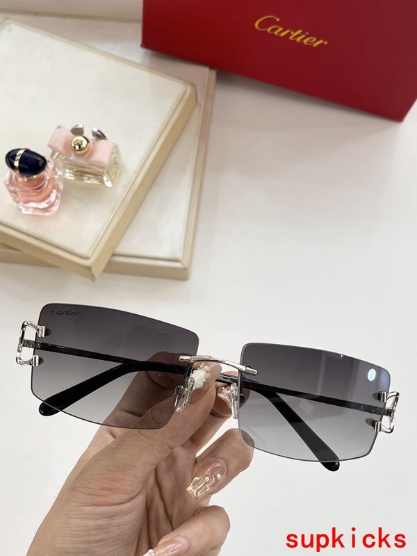 Close-up detail view of Cartier unisex sunglasses