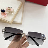 Close-up detail view of Cartier unisex sunglasses