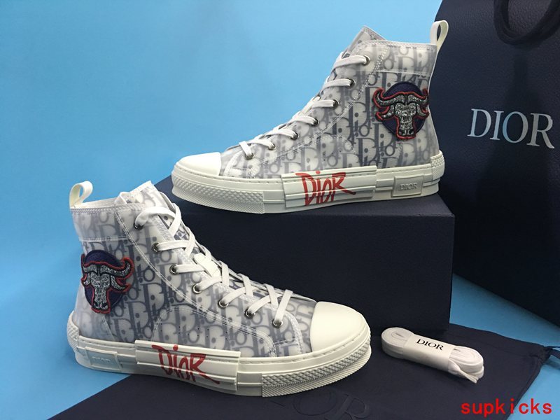 Dior shoes Style 026 - packaging and accessories (alternate angle)