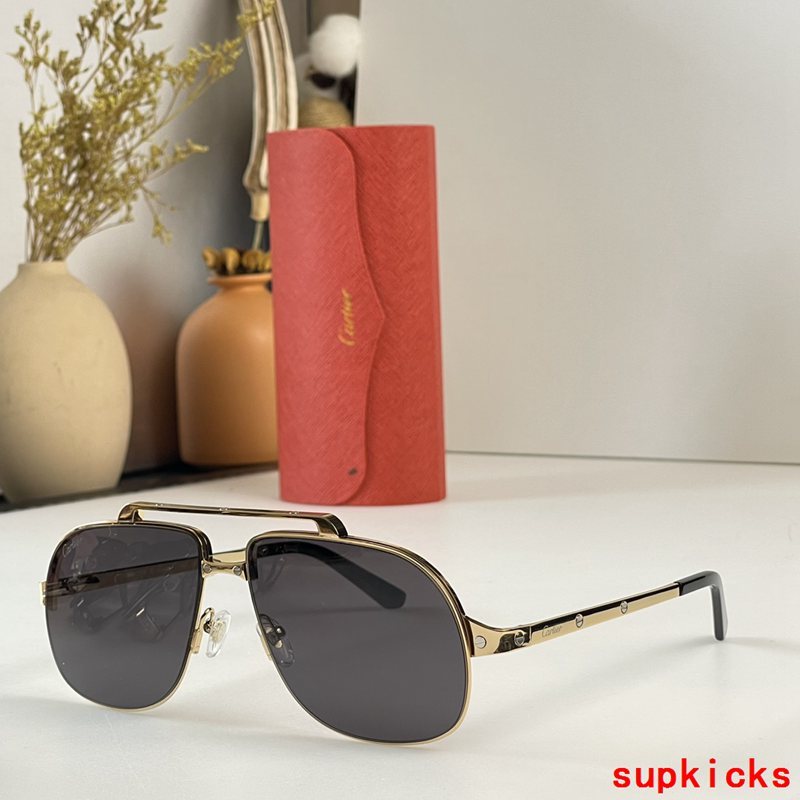 Side view of Cartier unisex sunglasses