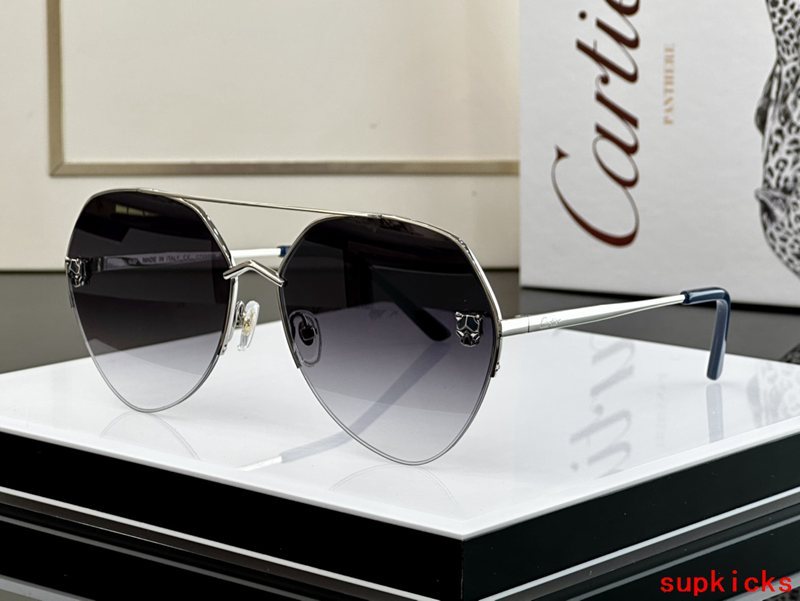 Side view of Cartier unisex sunglasses