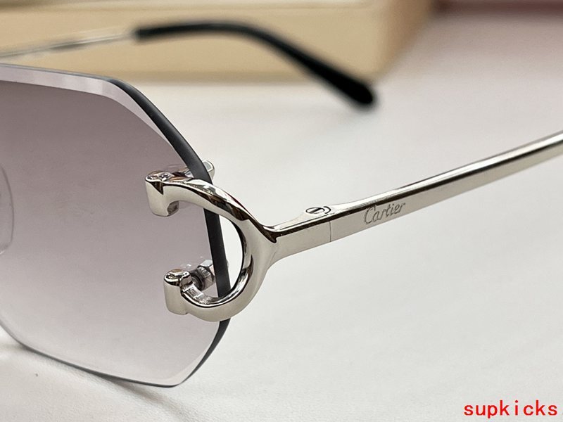 Side view of Cartier unisex sunglasses