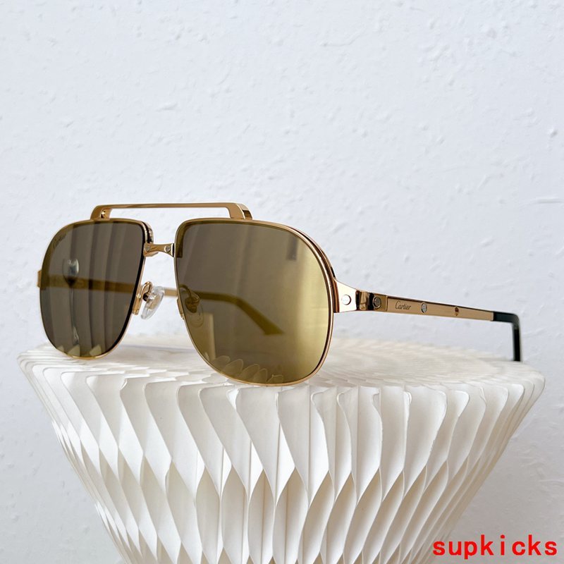 Full view of Cartier unisex sunglasses