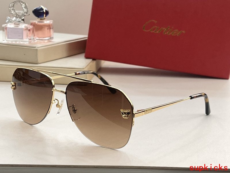 Angled view of Cartier unisex sunglasses