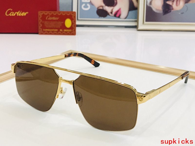 Close-up detail view of Cartier unisex sunglasses