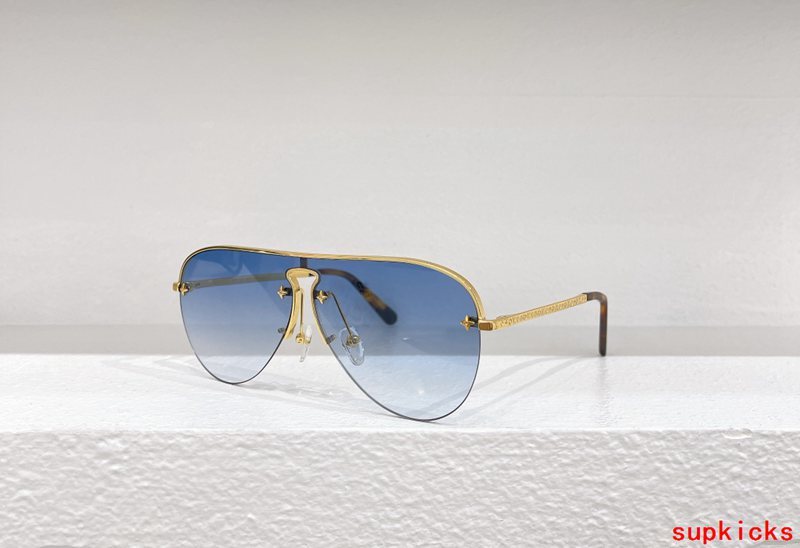 Close-up detail view of Louis Vuitton unisex sunglasses