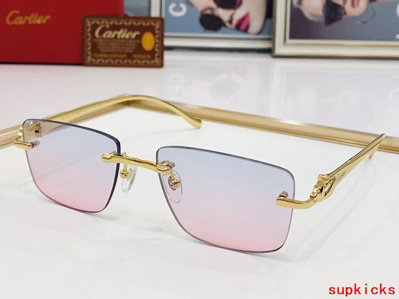 Close-up detail view of Cartier unisex sunglasses
