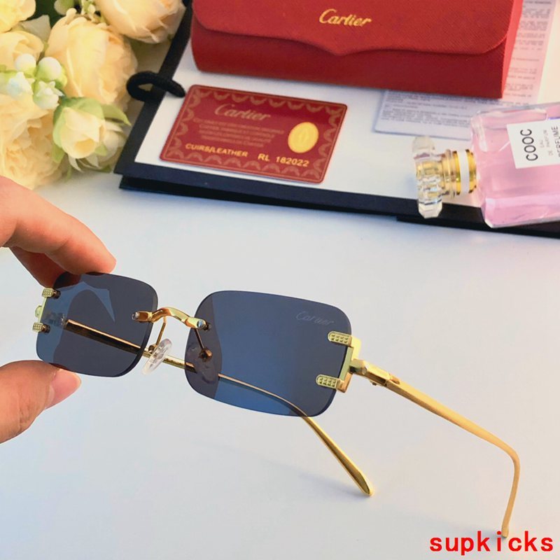 Full view of Cartier unisex sunglasses