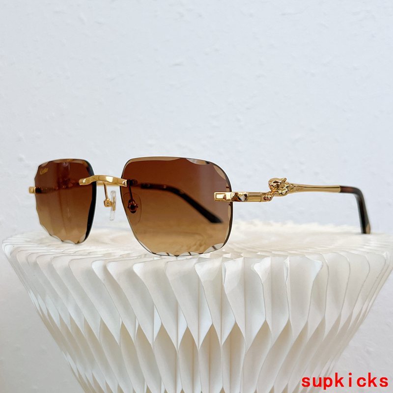 Side view of Cartier unisex sunglasses