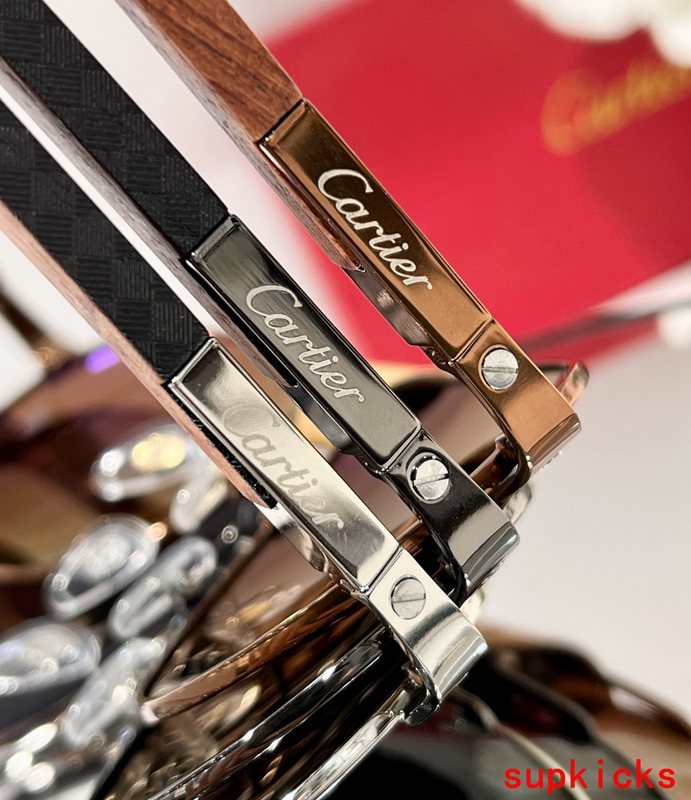 Side view of Cartier unisex sunglasses