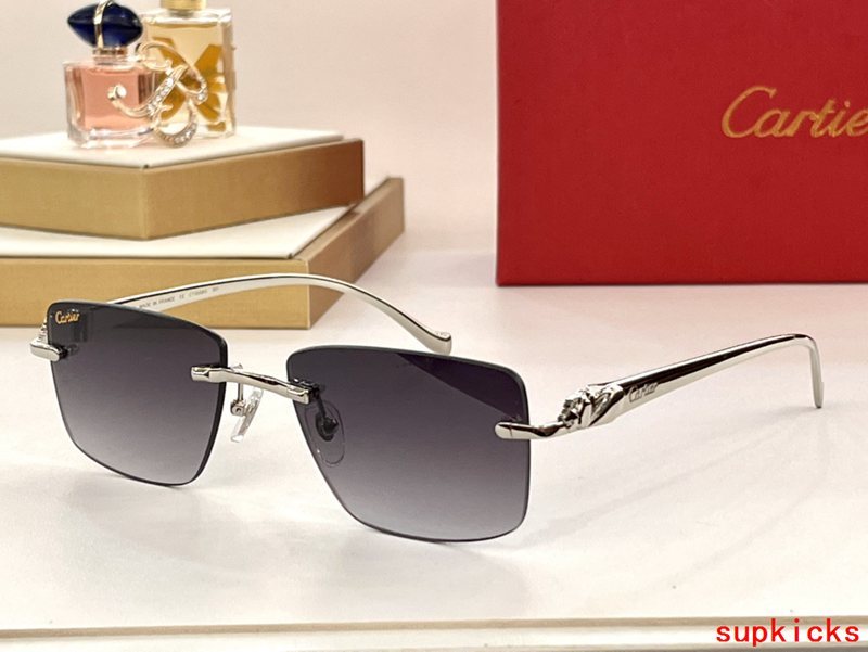Close-up detail view of Cartier unisex sunglasses