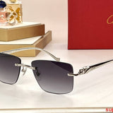 Close-up detail view of Cartier unisex sunglasses