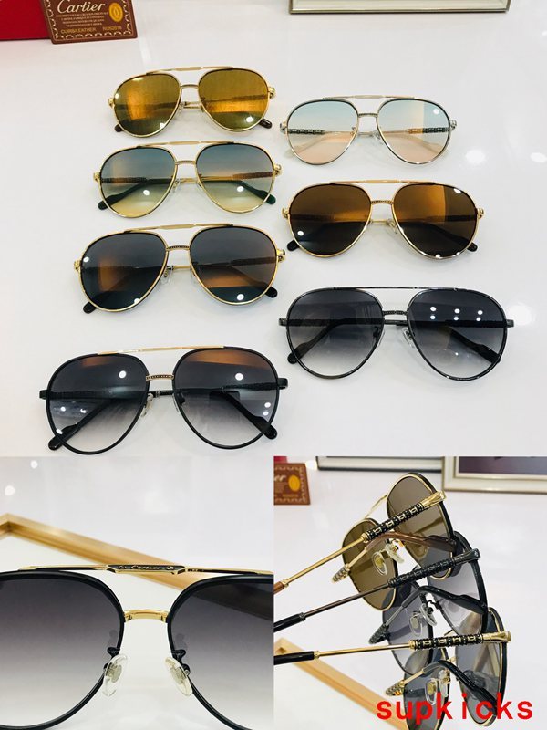 Side view of Cartier unisex sunglasses