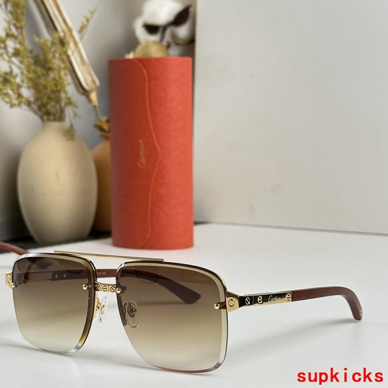 Side view of Cartier unisex sunglasses