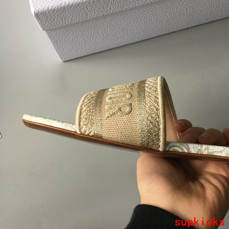 Dior shoes Style 041 - top view showing design (additional angle)
