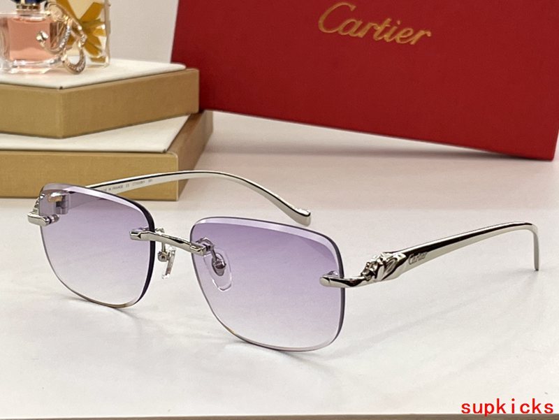 Front view of Cartier unisex sunglasses