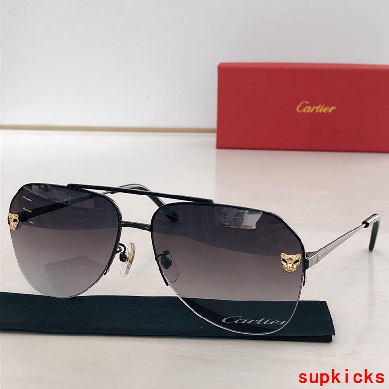 Full view of Cartier unisex sunglasses
