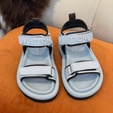 Louis Vuitton shoes Style 396 - packaging and accessories